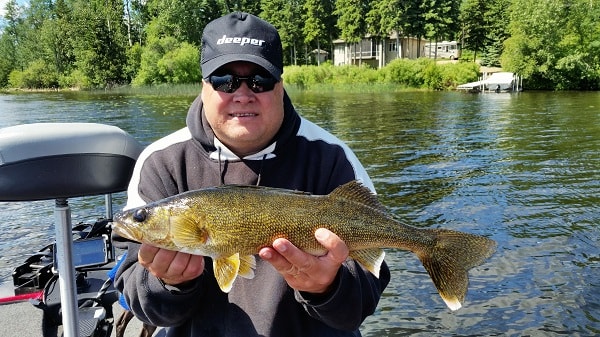 Deeper Pro + marking fish results in nice Walleye, this fish marked in the photo above.