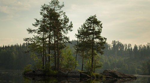 Island in lake