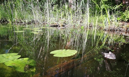 fishing spot